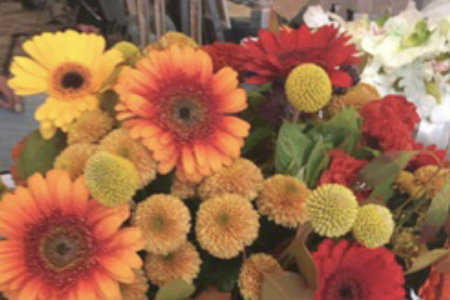 THANK YOU Brighton – The Finale for 2018