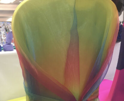 Rainbow chair at The Official Gay Wedding Show photo