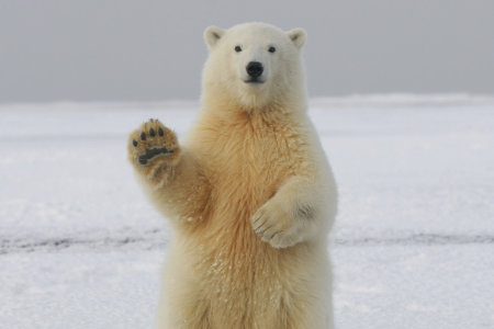 We are back after a year of COVID 19 interruptions