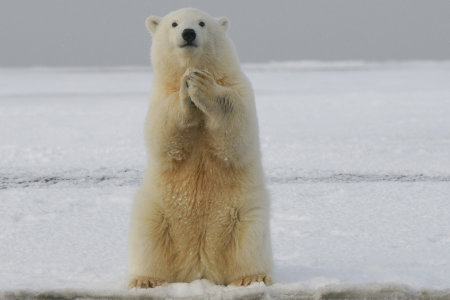 Manchester March Event Moved to September 2022